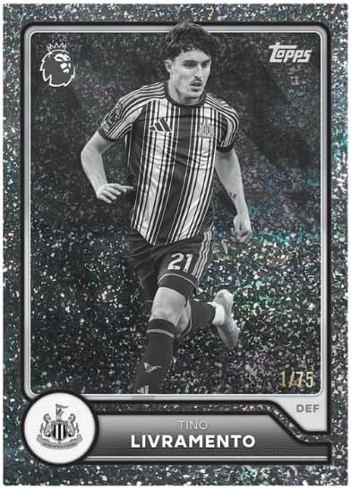 Premier League 2026/27 Flagship Soccer Trading Cards Starter Pack – Exclusive Football Card Binder, Checklist, Sealed Pack, Ultra Rare Gold Lion Card & 10 Sleeves – Sold with Alphatek.store Sticker