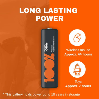 100PP AAA Batteries 40 Pack | Alkaline 1.5V Long-Lasting Power