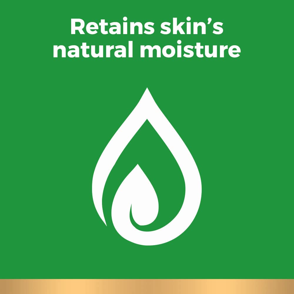 Irish Spring Body Wash for Men, Original Scent, 887 mL
