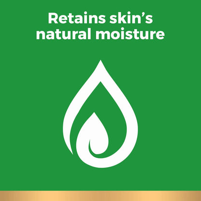 Irish Spring Body Wash for Men, Original Scent, 887 mL
