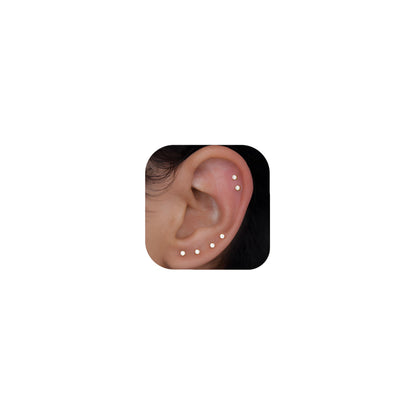 10 Pairs Small Stud Earrings for Women Hypoallergenic Multiple Piercings