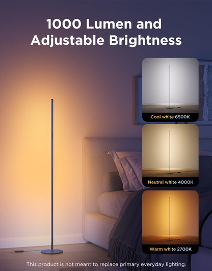 Govee RGBIC Floor Lamp Basic, 1000lm LED Corner Lamp