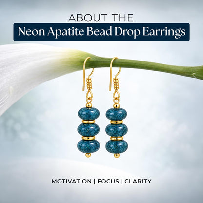 Gempires Beaded Gemstone Dangle Earrings for Women, Boho Gold Birthstone