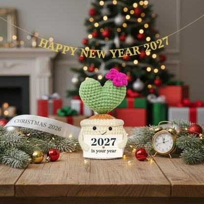 Get Well Gifts for Women, Handmade Crochet Cactus Plant
