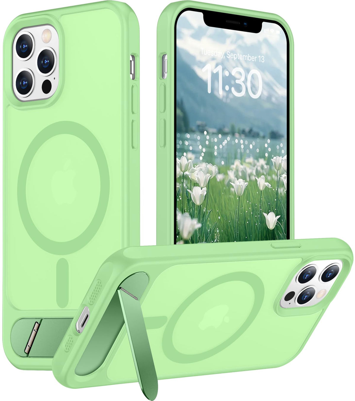 Temdan Magnetic Compatible with iPhone 16 Pro Max Case, [Built-in Invisible Kickstand][Compatible with MagSafe] [Military Grade Shockproof] Slim Translucent Matte Phone Case for iPhone 16 Pro Max 6.9"