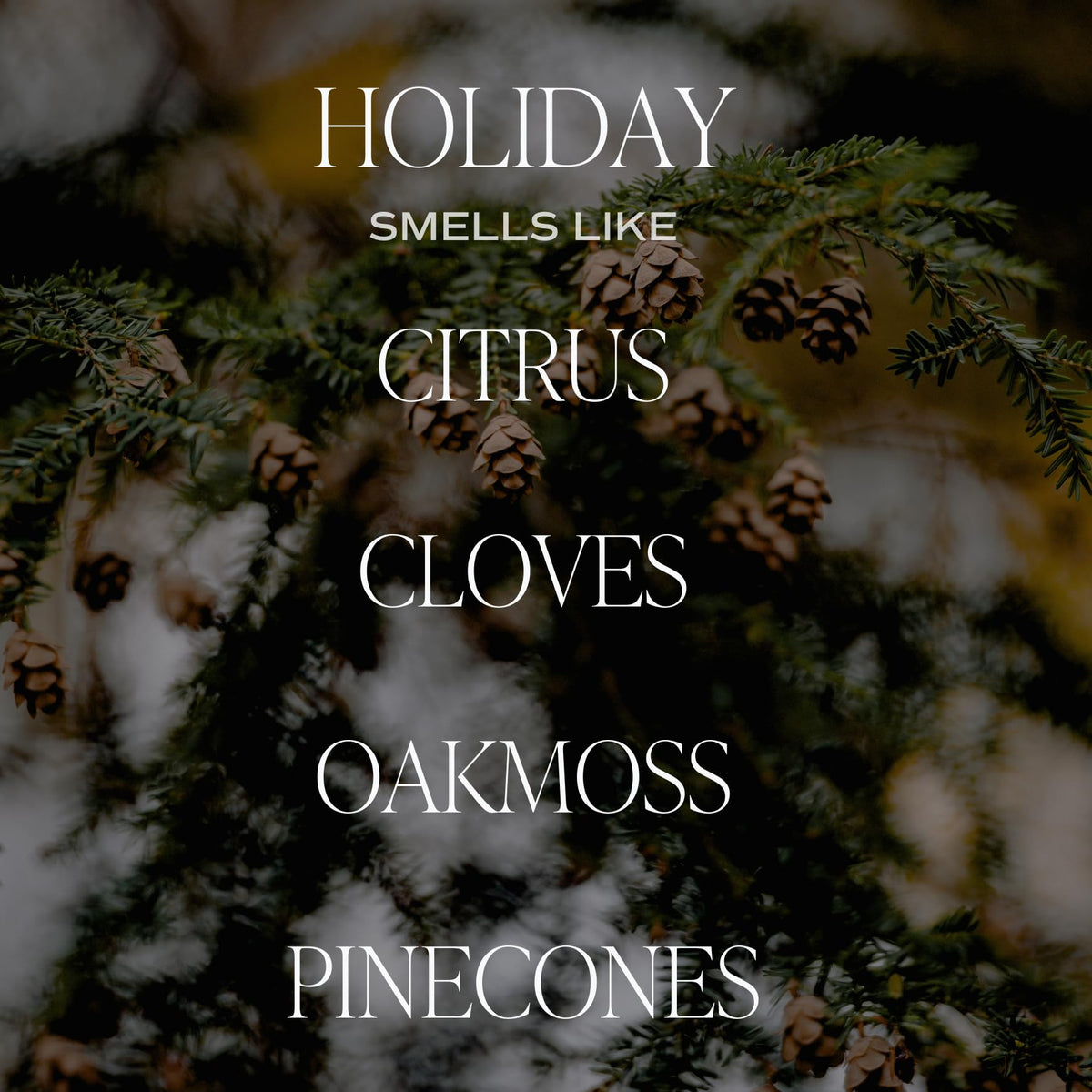 Sweet Water Decor Fraser Fir Candle, 9oz Amber Glass Jar, Winter Scent