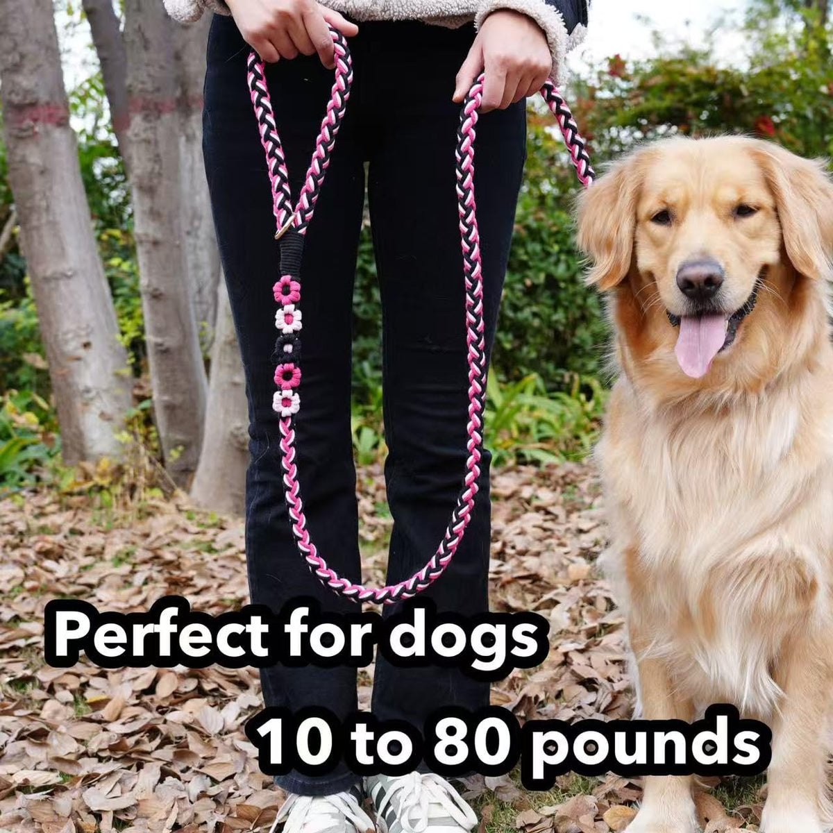 5FT Braided Cotton Rope Leash for Small, Medium and Large Dogs, Red & White Twist