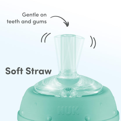 NUK Learner Straw Cup, 10oz, 2-Pack, Amazon Exclusive Timeless