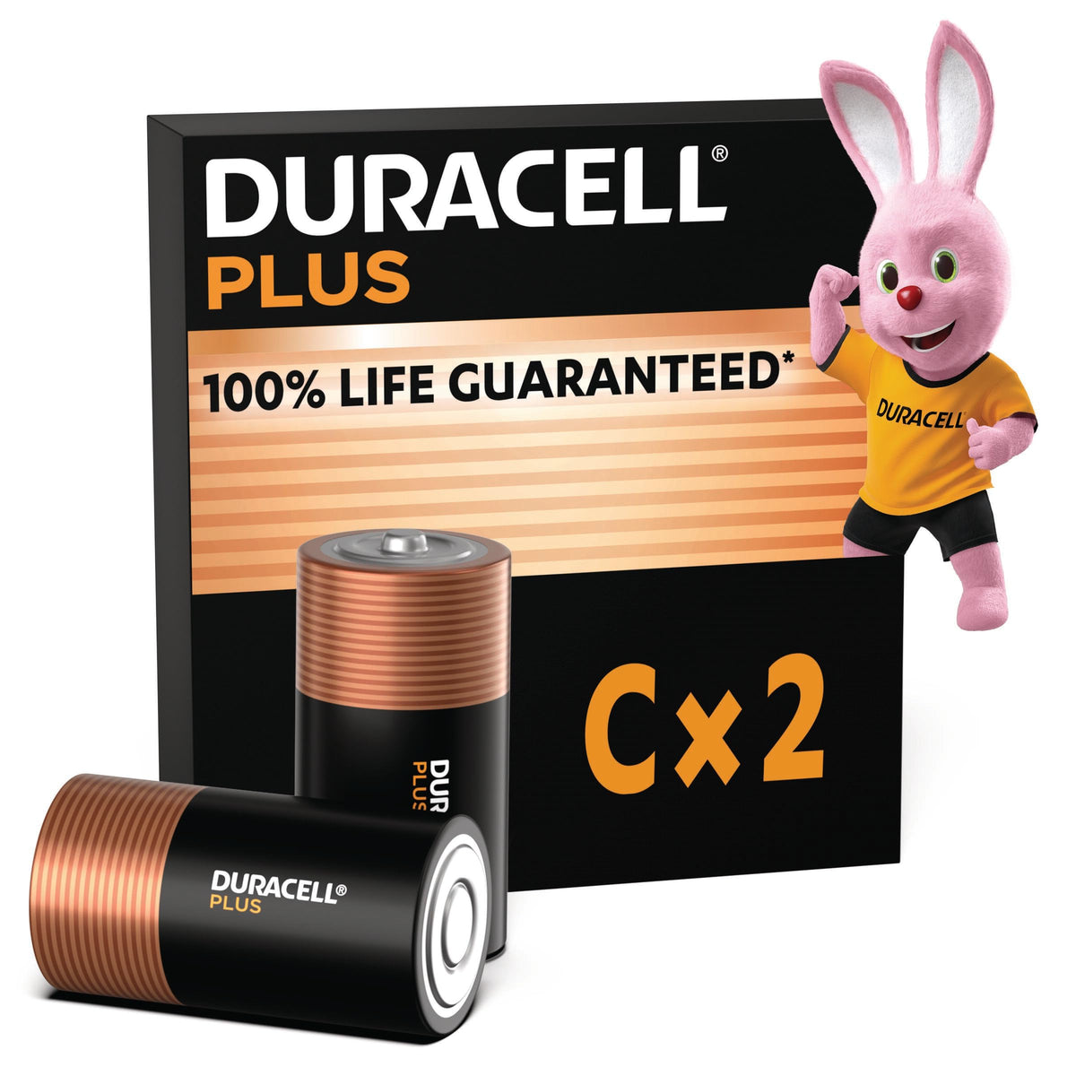 DURACELL Plus 9V Alkaline Batteries (2 Pack) 6LR61