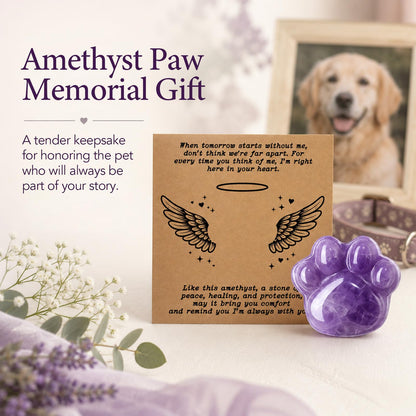 Dog Memorial Gifts for Loss of Dog, Rose Quartz Paw & Memorial Bracelet