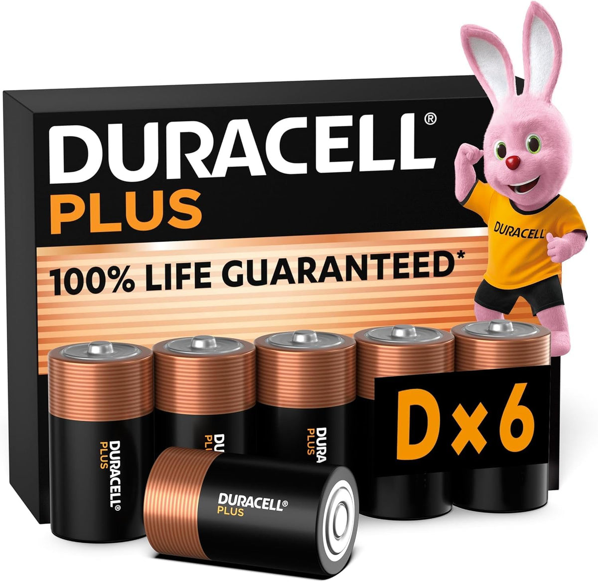 DURACELL Plus 9V Alkaline Batteries (2 Pack) 6LR61