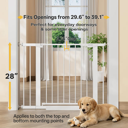 InnoTruth 27-36.6 in Wide Baby Gate for Stairs and Doorways, Black