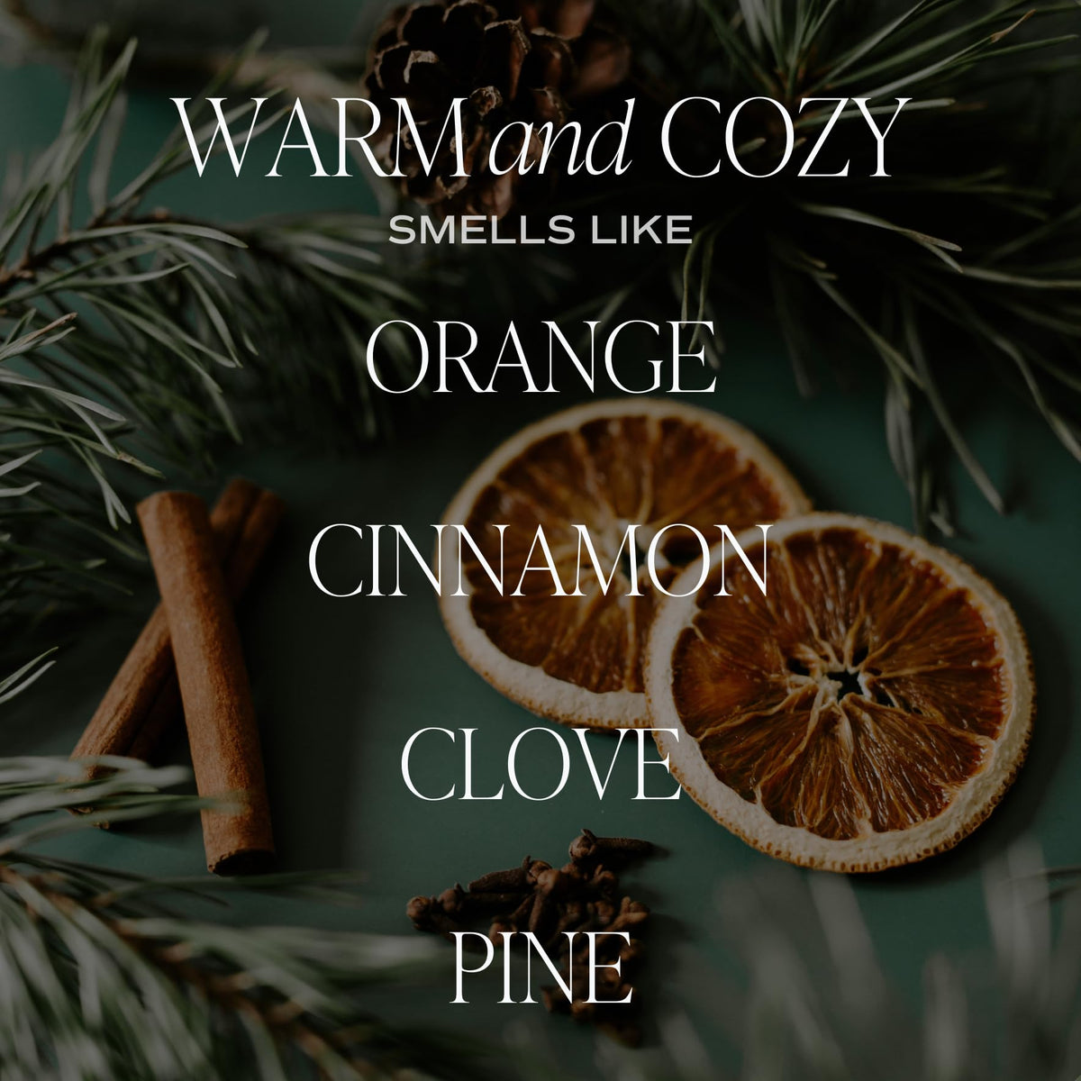 Sweet Water Decor Cashmere and Vanilla Reed Diffuser Set for Home - Milky Coconut, Soft Cashmere, Bourbon Vanilla, Sandalwood Scented Reed Diffusers - Lasts 4+ Months, Made in the USA