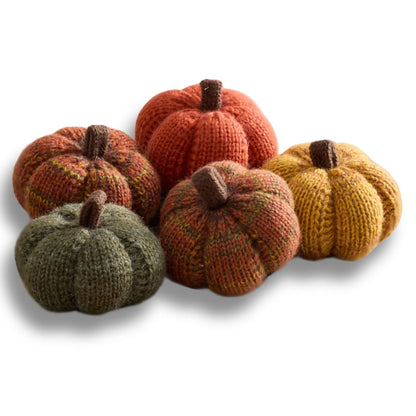 Mini Knit Pumpkins Set of 5, Fall Décor (Autumn Set)