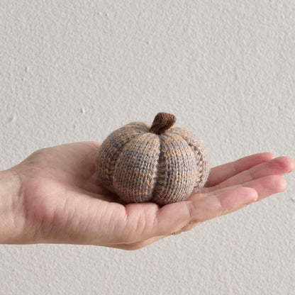 Mini Knit Pumpkins Set of 5, Fall Décor (Autumn Set)