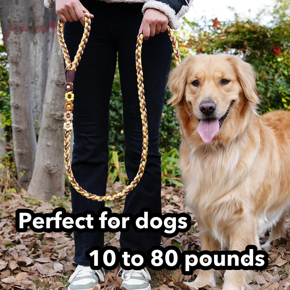 5FT Braided Cotton Rope Leash for Small, Medium and Large Dogs, Red & White Twist