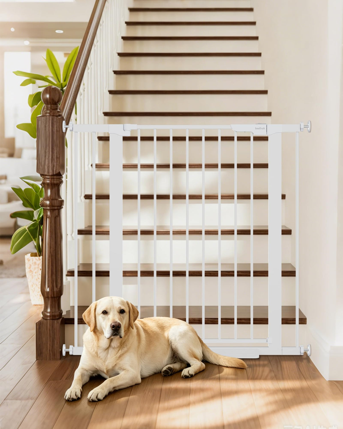 InnoTruth 27-36.6 in Wide Baby Gate for Stairs and Doorways, Black