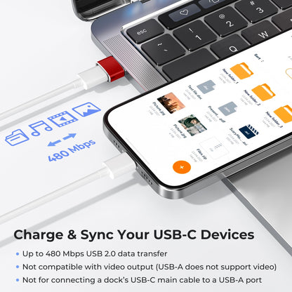 Basesailor USB to USB C Adapter,USBC Female to USB A Male Charger Adapter