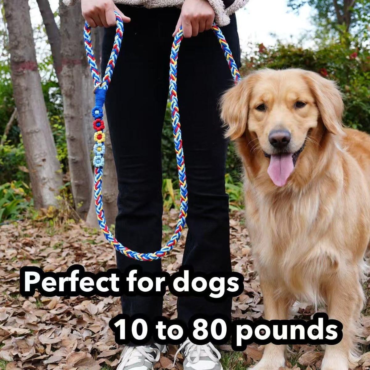 5FT Braided Cotton Rope Leash for Small, Medium and Large Dogs, Red & White Twist