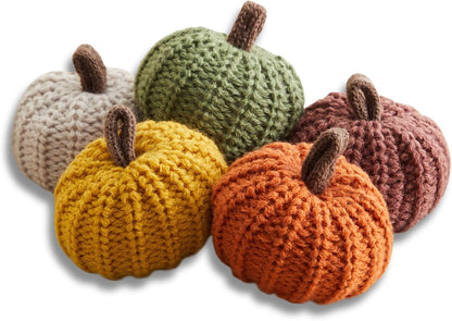 Mini Knit Pumpkins Set of 5, Fall Décor (Autumn Set)