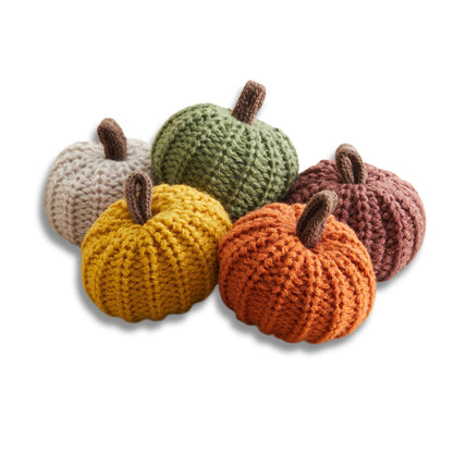 Mini Knit Pumpkins Set of 5, Fall Décor (Autumn Set)