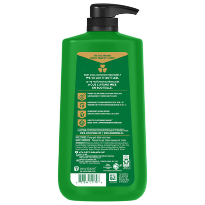 Irish Spring Body Wash for Men, Original Scent, 887 mL