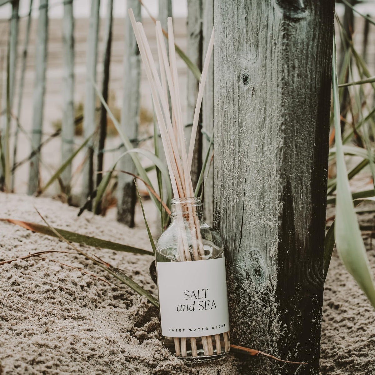 Sweet Water Decor Spa Day Reed Diffuser Set - Sea Salt, Jasmine, Wood, and Cream Scented Diffuser - Relaxing Spa Scent Diffusers for Home, Long Lasting Fragrance, Made in the USA
