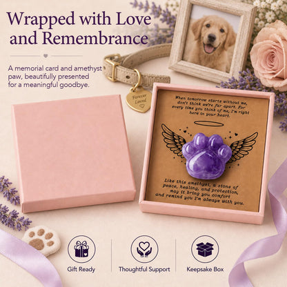 Dog Memorial Gifts for Loss of Dog, Rose Quartz Paw & Memorial Bracelet