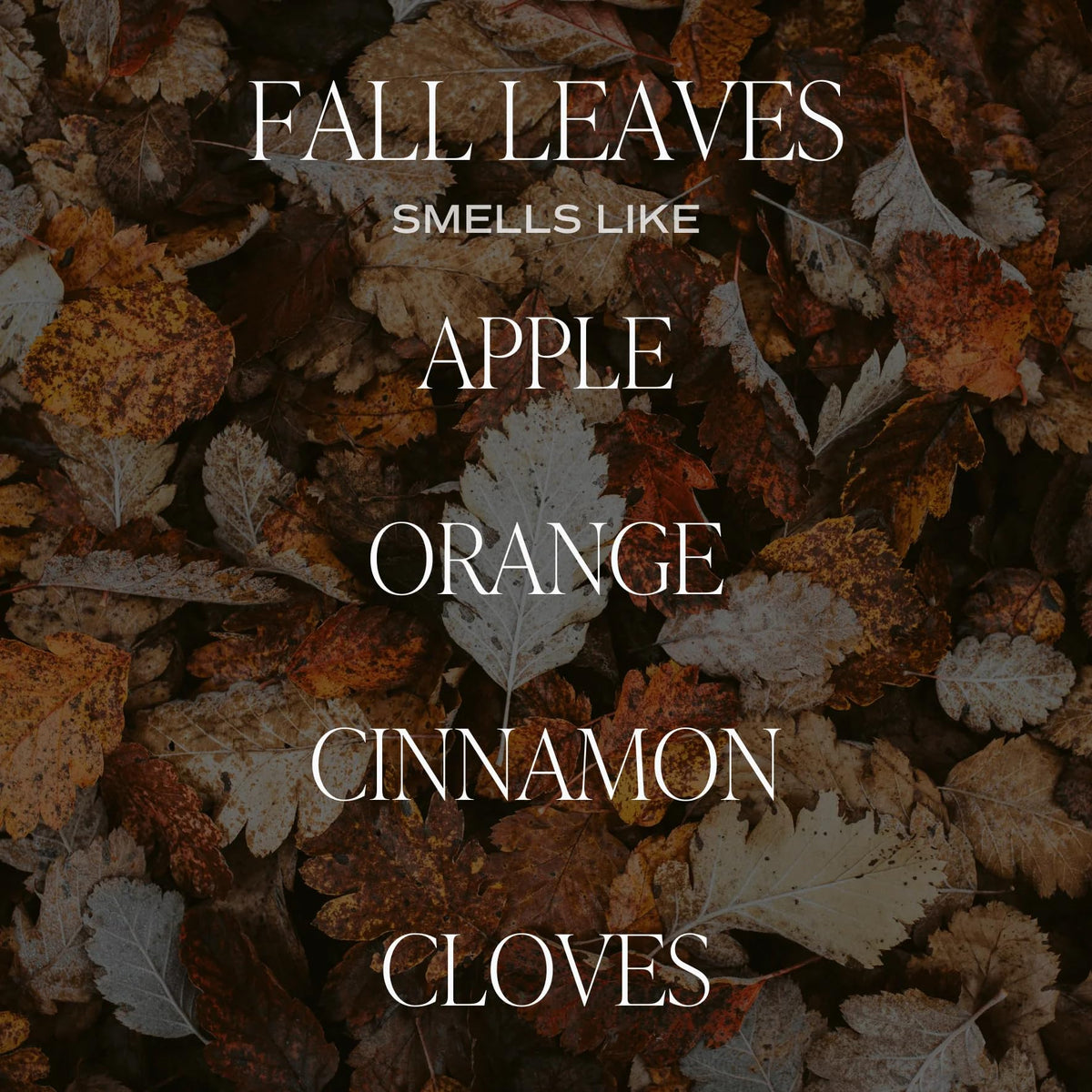Sweet Water Decor Cinnamon Roll Candle, 9oz Clear Jar, Fall Scent