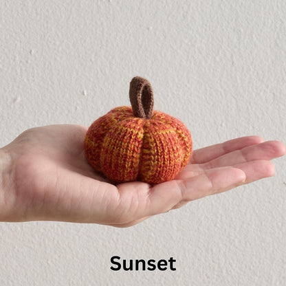 Mini Knit Pumpkins Set of 5, Fall Décor (Autumn Set)