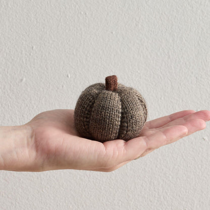 Mini Knit Pumpkins Set of 5, Fall Décor (Autumn Set)
