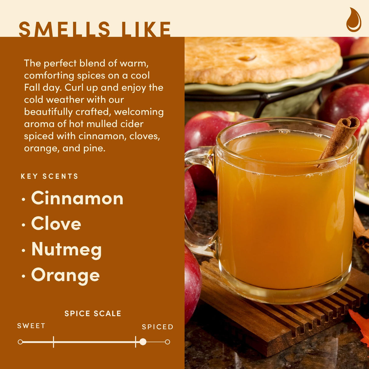 Wax & Wit Fall Candles for Home Scented – Apple, Cinnamon, Clove, Orange – Perfect Home Décor Gifts for Autumn, Holiday, Christmas, Winter - 9oz, Soy Wax, 50 Hour Burn