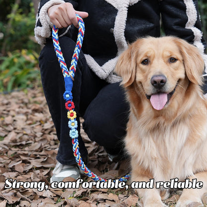 5FT Braided Cotton Rope Leash for Small, Medium and Large Dogs, Red & White Twist