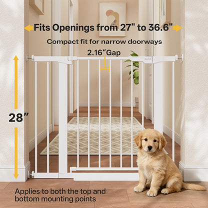 InnoTruth 27-36.6 in Wide Baby Gate for Stairs and Doorways, Black