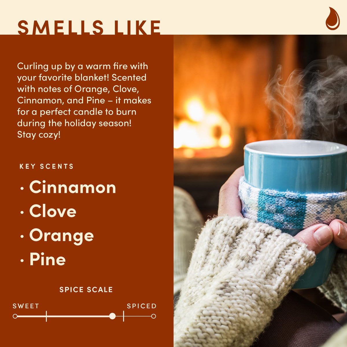 Wax & Wit Fall Candles for Home Scented – Apple, Cinnamon, Clove, Orange – Perfect Home Décor Gifts for Autumn, Holiday, Christmas, Winter - 9oz, Soy Wax, 50 Hour Burn