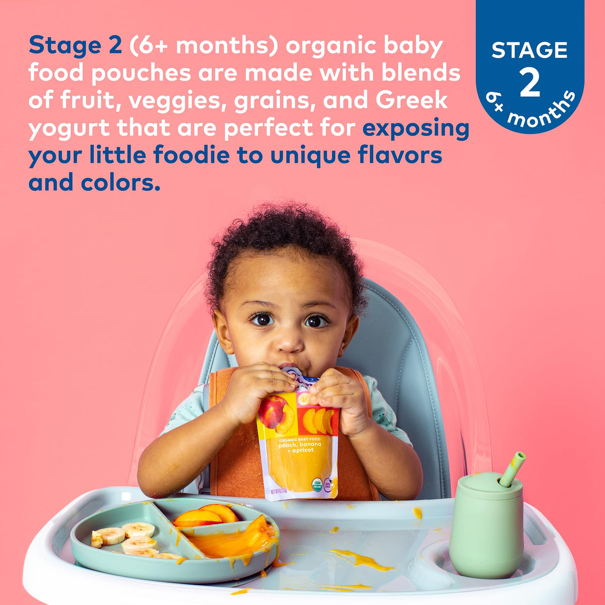 Plum Organics Stage 1 Organic Baby Food Pouch - Just Mangos, 12 Pack