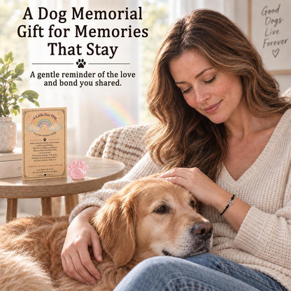 Dog Memorial Gifts for Loss of Dog, Rose Quartz Paw & Memorial Bracelet