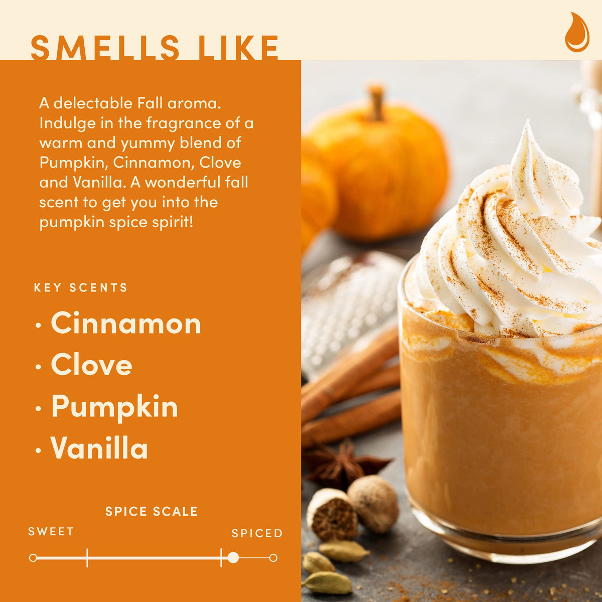 Wax & Wit Fall Candles for Home Scented – Apple, Cinnamon, Clove, Orange – Perfect Home Décor Gifts for Autumn, Holiday, Christmas, Winter - 9oz, Soy Wax, 50 Hour Burn