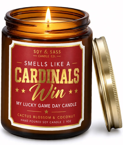 Vikings Gifts for Women / Men - Smells like a Vikings Win Candle, USA Made