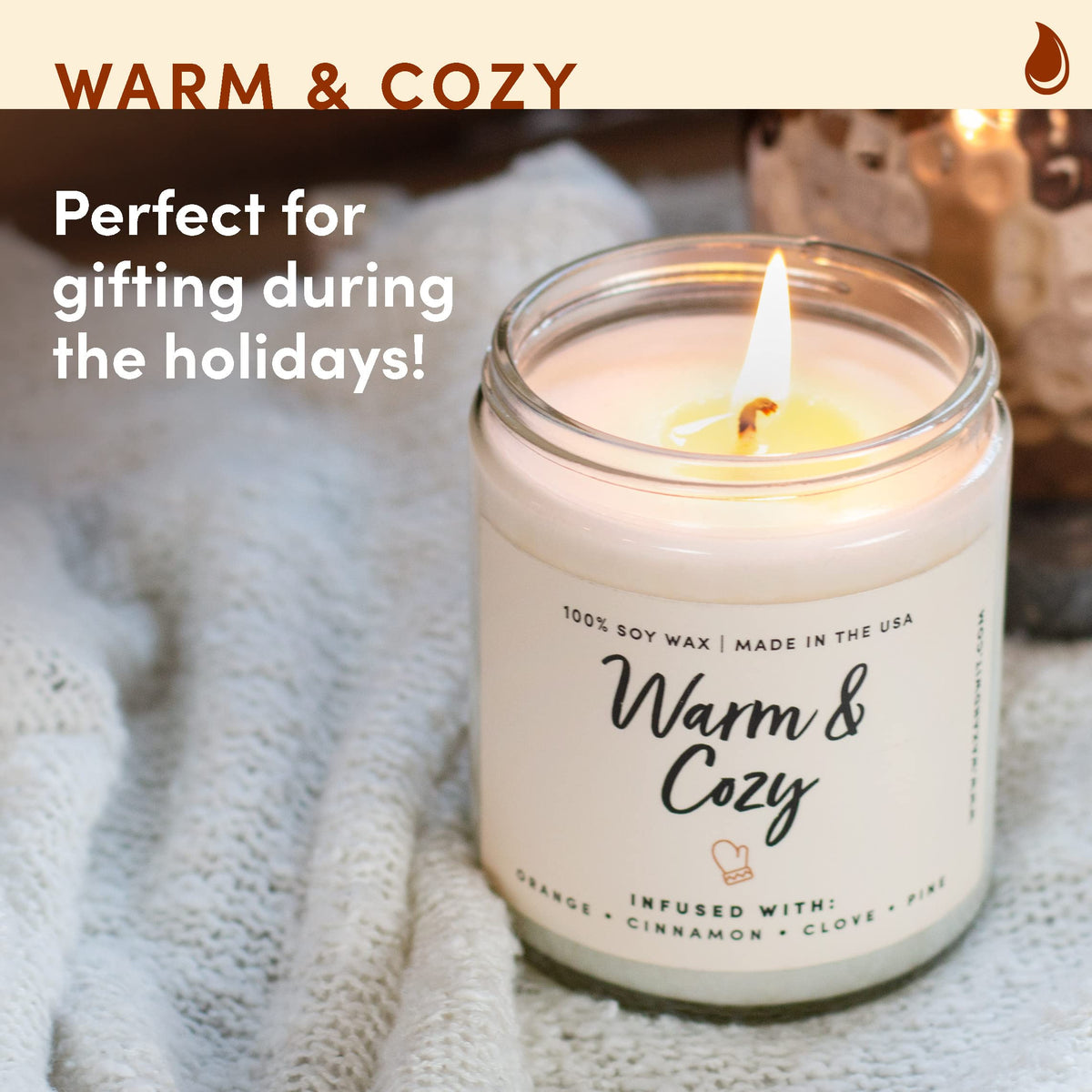 Wax & Wit Fall Candles for Home Scented – Apple, Cinnamon, Clove, Orange – Perfect Home Décor Gifts for Autumn, Holiday, Christmas, Winter - 9oz, Soy Wax, 50 Hour Burn