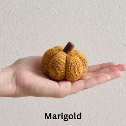Mini Knit Pumpkins Set of 5, Fall Décor (Autumn Set)