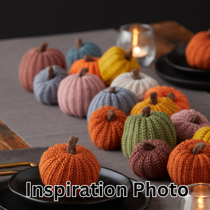 Mini Knit Pumpkins Set of 5, Fall Décor (Autumn Set)
