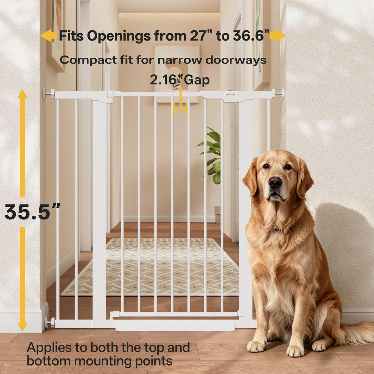 InnoTruth 27-36.6 in Wide Baby Gate for Stairs and Doorways, Black