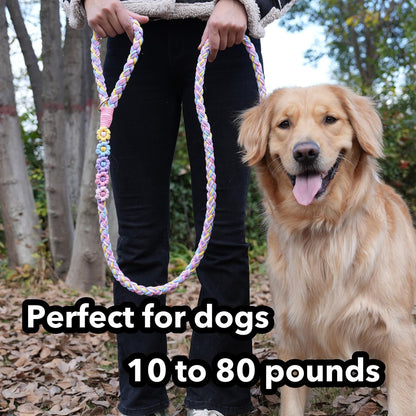 5FT Braided Cotton Rope Leash for Small, Medium and Large Dogs, Red & White Twist