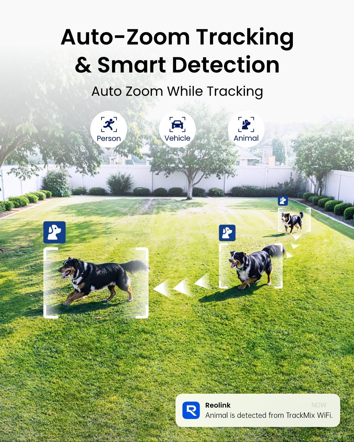 REOLINK 4K 8MP Dual-Lens PTZ Wired WiFi Outdoor Security Camera, 2.4/5GHz