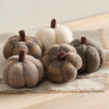 Mini Knit Pumpkins Set of 5, Fall Décor (Autumn Set)