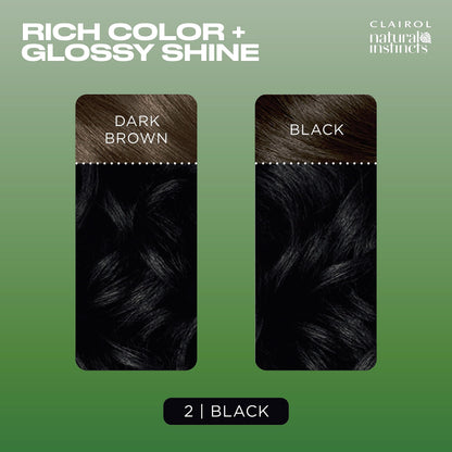 Clairol Natural Instincts Demi-Permanent Hair Dye, 4 Dark Brown | 1 Pack