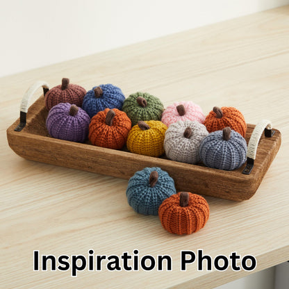 Mini Knit Pumpkins Set of 5, Fall Décor (Autumn Set)