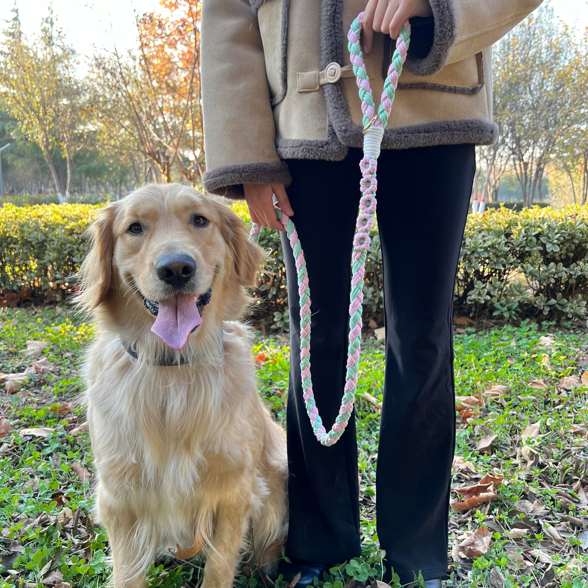5FT Braided Cotton Rope Leash for Small, Medium and Large Dogs, Red & White Twist