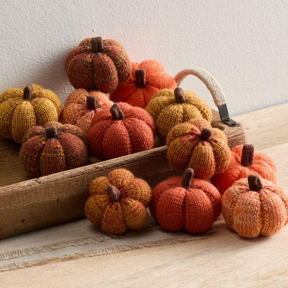 Mini Knit Pumpkins Set of 5, Fall Décor (Autumn Set)